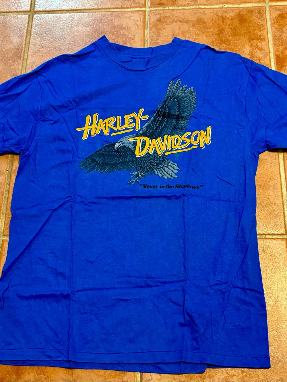 Harley-Davidson Men’s Blue Eagle Graphic T-Shirt vintage